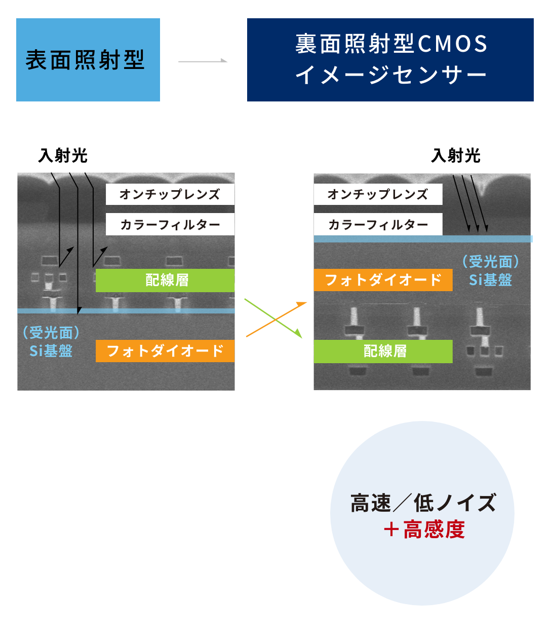 独自の裏面照射型構造を採用し、従来の表面照射型CMOSイメージセンサーに比べて、約2倍の感度と低ノイズを実現。シリコン基板の裏側から光を照射することで、配線やトランジスタの影響を受けることなく単位画素に入る光の量を増大させるとともに、光の入射角変化に対する感度低下を抑えることが可能です。夜景などの暗い場所でもなめらかで高画質な映像の撮影を実現しました。