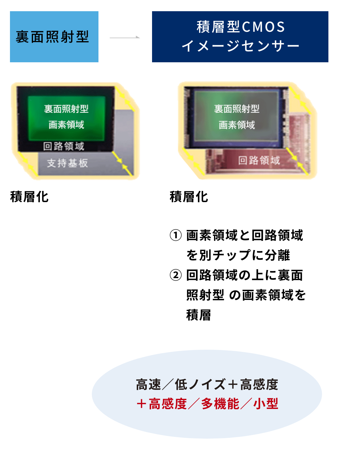 従来の裏面照射型CMOSイメージセンサーの支持基板の代わりに信号処理回路が形成されたチップを用い、その上に裏面照射型画素が形成された画素部分を重ね合わせた積層構造。小さなチップサイズで大規模な回路の搭載が可能です。また、画素部分と回路部分をそれぞれ独立したチップとして形成するので、画素部分は高画質化に特化し、回路部分は高機能化に特化した製造プロセスを採用でき、高画質化・高機能化・小型化を同時に実現しました。
